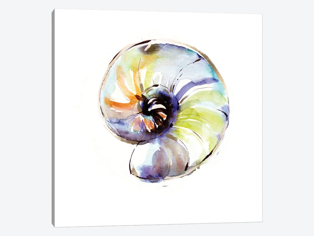 Warm Abstract Shell by Sara Berrenson 1-piece Canvas Art