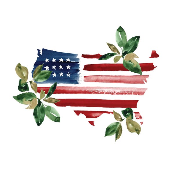 American Décor: Botanical Flag by Sara Berrenson