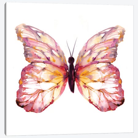 Butterfly Blush Canvas Print #SBE11} by Sara Berrenson Canvas Wall Art