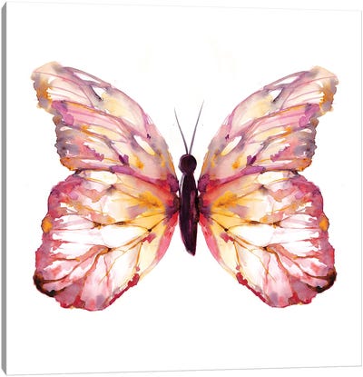 Butterfly Blush Canvas Art Print - Sara Berrenson