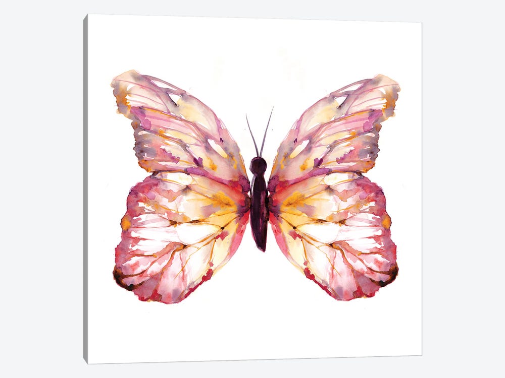 Butterfly Blush by Sara Berrenson 1-piece Canvas Wall Art