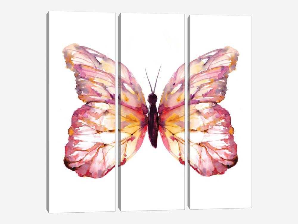 Butterfly Blush by Sara Berrenson 3-piece Canvas Wall Art