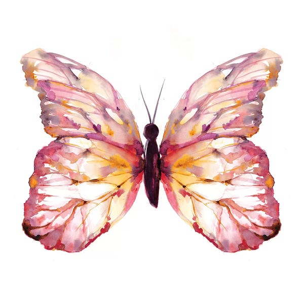 Orchid Pink: Butterfly Blush by Sara Berrenson