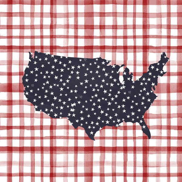 Gingham: Gingham USA by Sara Berrenson