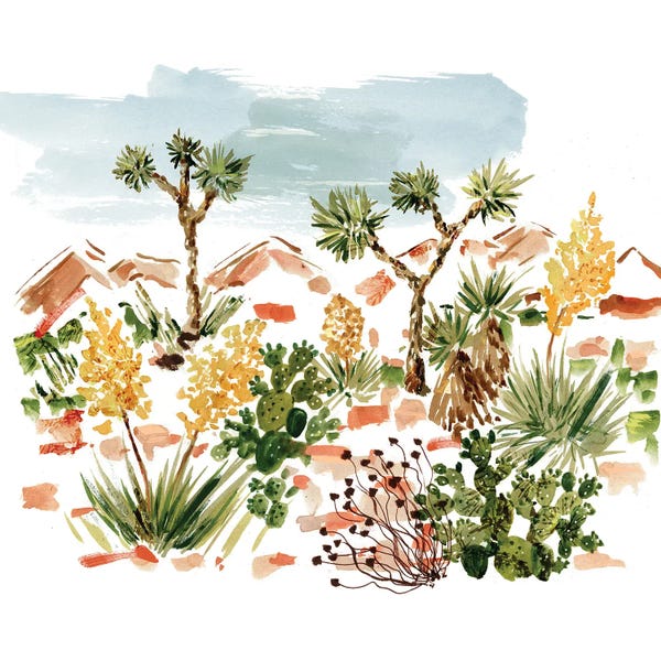 Joshua Tree National Park: Joshua Tree Blue by Sara Berrenson