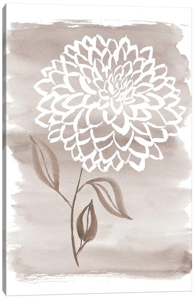 Muted Dahlia Taupe Canvas Art Print - Minimalist Flowers