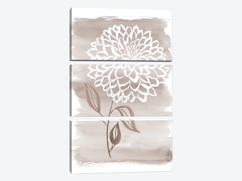 Muted Dahlia Taupe by Sara Berrenson 3-piece Canvas Wall Art