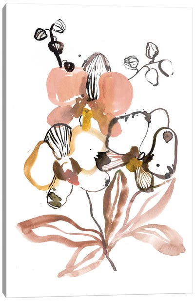 Orchids Blush Canvas Art Print - Sara Berrenson
