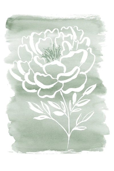 Peonies: Peony Sage by Sara Berrenson