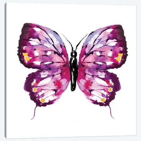 Butterfly Fuchsia Canvas Print #SBE12} by Sara Berrenson Canvas Wall Art