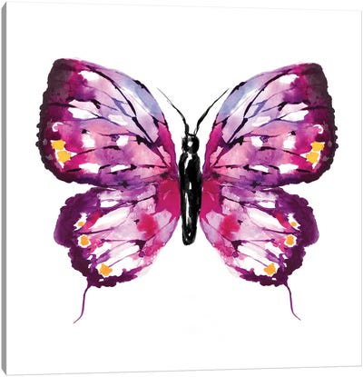Butterfly Fuchsia Canvas Art Print - Sara Berrenson