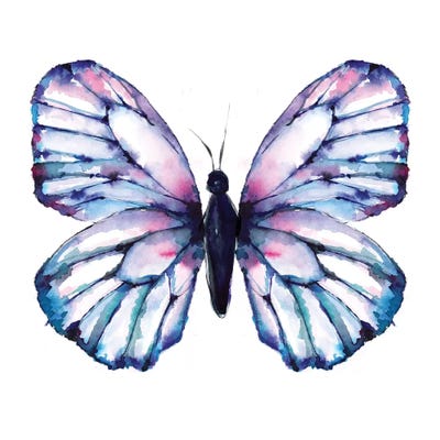 Butterfly Iridescent by Sara Berrenson metal wall art