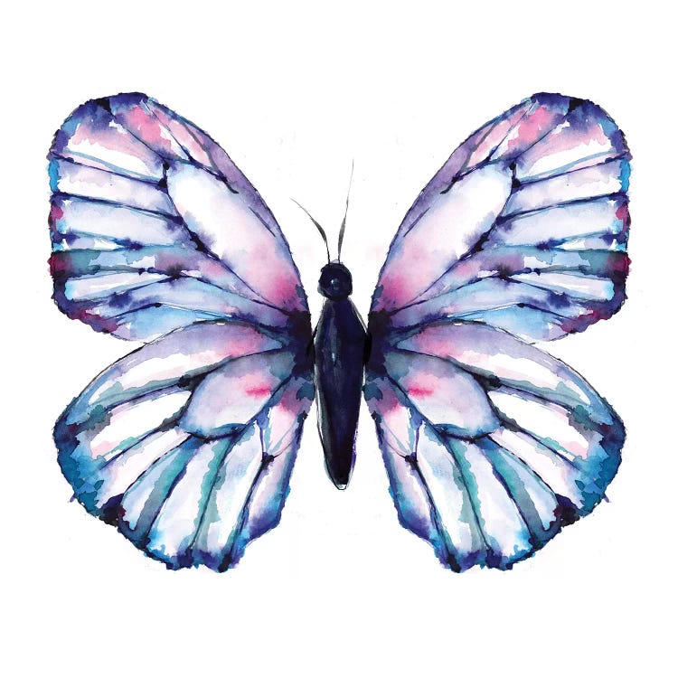 Butterfly Iridescent