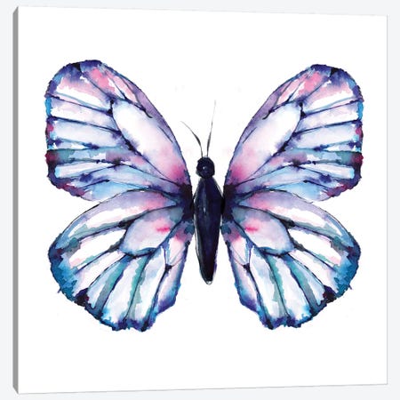 Butterfly Iridescent Canvas Print #SBE13} by Sara Berrenson Canvas Artwork
