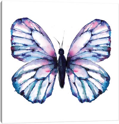 Butterfly Iridescent Canvas Art Print - Sara Berrenson