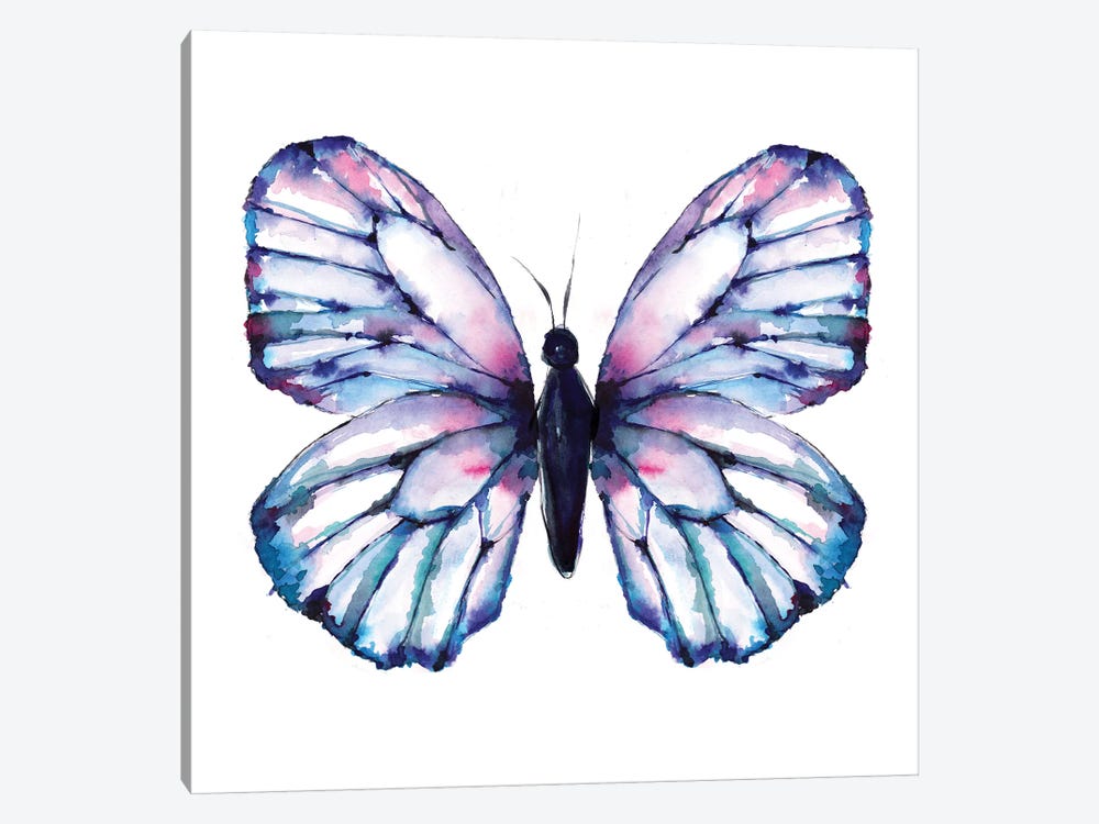 Butterfly Iridescent by Sara Berrenson 1-piece Canvas Artwork