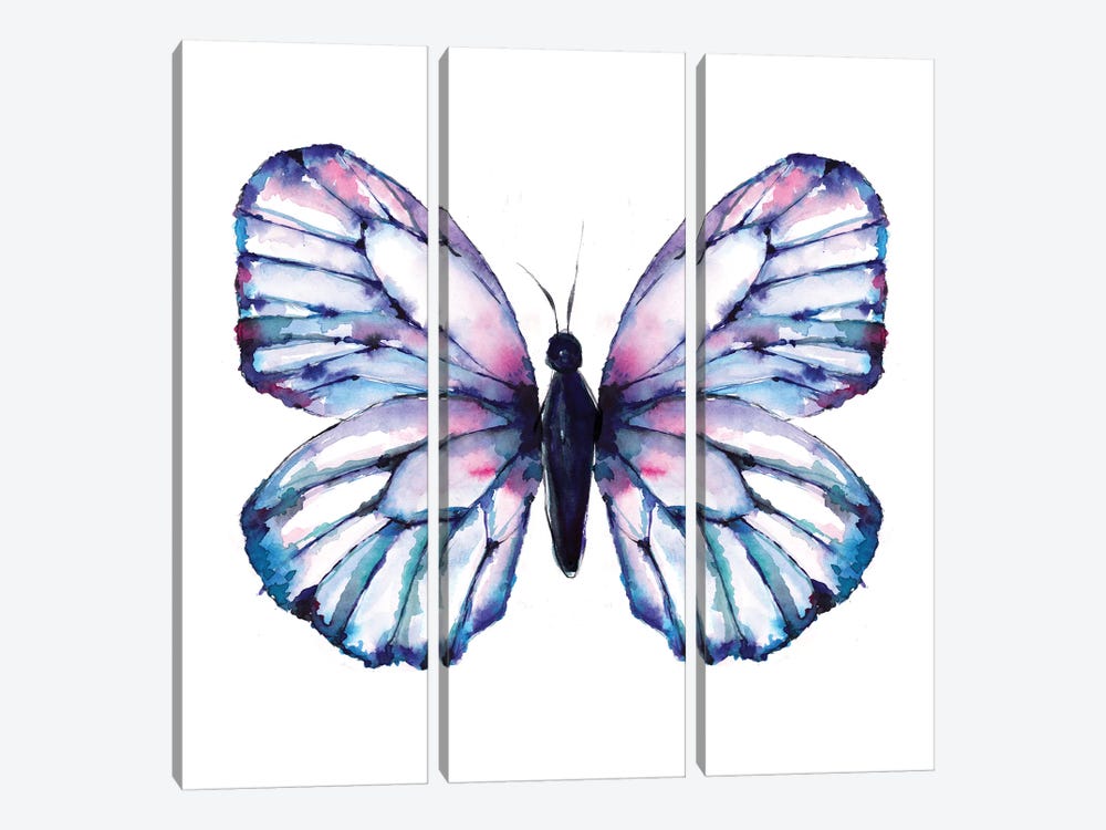Butterfly Iridescent by Sara Berrenson 3-piece Canvas Wall Art