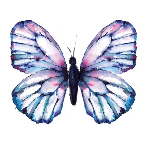 Sara Berrenson: Butterfly Iridescent by Sara Berrenson