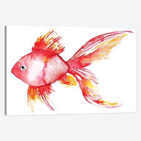 Coral Fish Canvas Print #SBE20} by Sara Berrenson Canvas Art Print