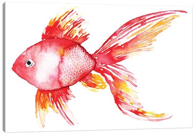 Coral Fish Canvas Art Print - Living Coral