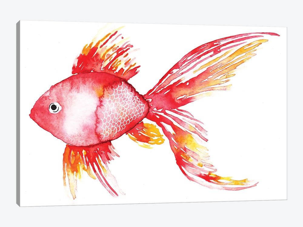 Coral Fish by Sara Berrenson 1-piece Canvas Art