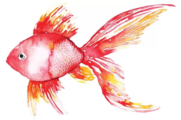 Sara Berrenson: Coral Fish by Sara Berrenson