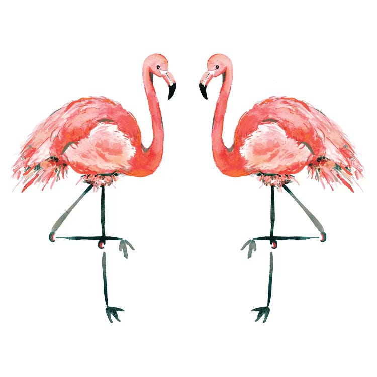 Flamingos