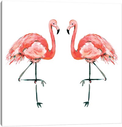 Flamingos Canvas Art Print - Sara Berrenson