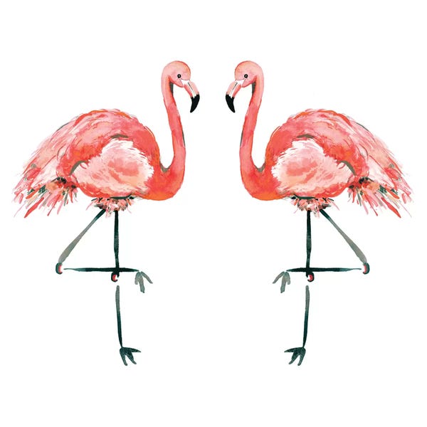 Sara Berrenson: Flamingos by Sara Berrenson