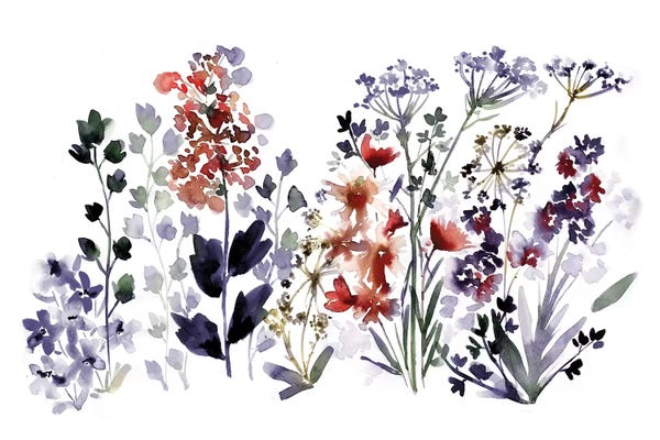 Wildflowers: Indigo Wildflowers by Sara Berrenson