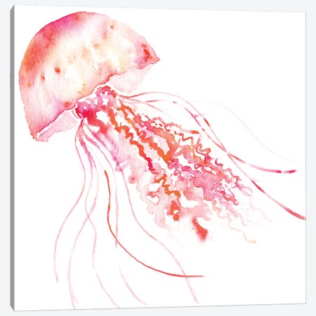 Jellyfish Pink Canvas Print #SBE35} by Sara Berrenson Canvas Art Print