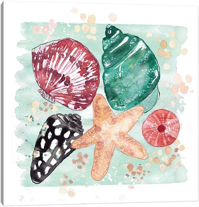 Beachcomber - Shell Medley Canvas Art Print - Starfish Art