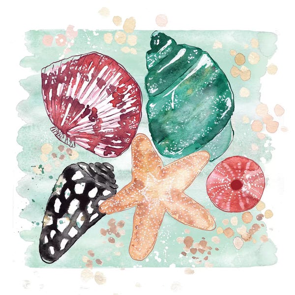 Sea Shells: Beachcomber - Shell Medley by Sara Berrenson