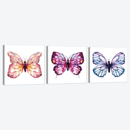 Butterfly Triptych Canvas Print Set #SBE3HSET001} by Sara Berrenson Canvas Art Print