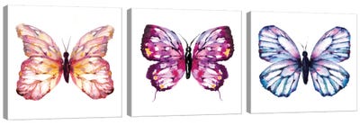 Butterfly Triptych Canvas Art Print - Art Sets | Triptych & Diptych Wall Art
