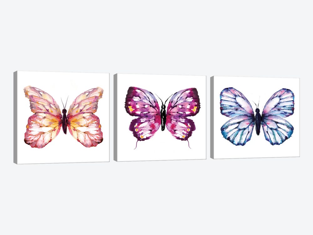 Butterfly Triptych by Sara Berrenson 3-piece Canvas Art