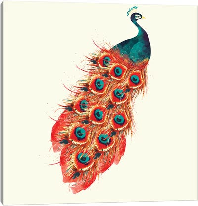 Peacock Canvas Art Print - Sara Berrenson