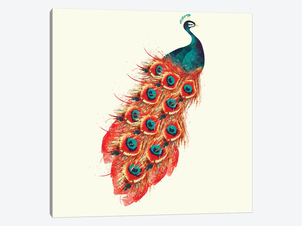 Peacock by Sara Berrenson 1-piece Canvas Art Print