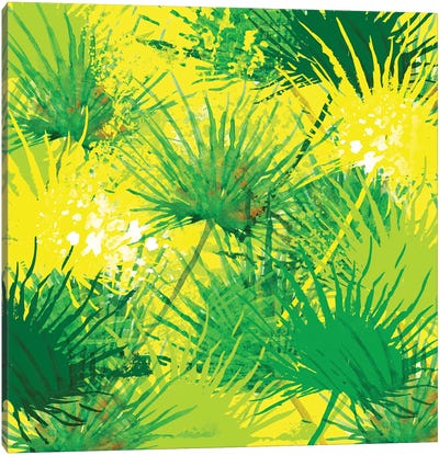 Palms Canvas Art Print - Floral & Botanical Patterns