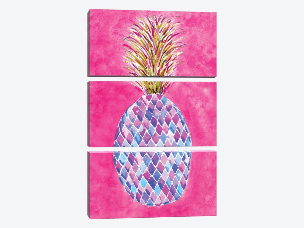 Pineapple Pink by Sara Berrenson 3-piece Canvas Artwork