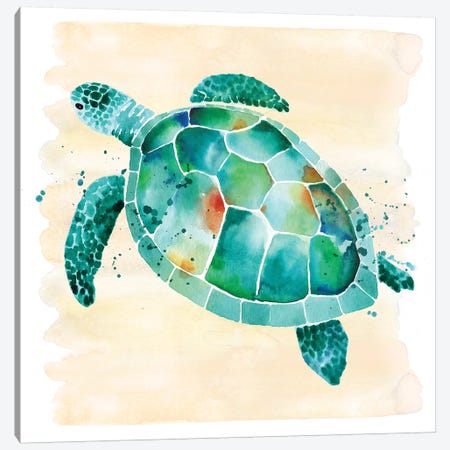 Sea Turtle Canvas Print #SBE63} by Sara Berrenson Art Print