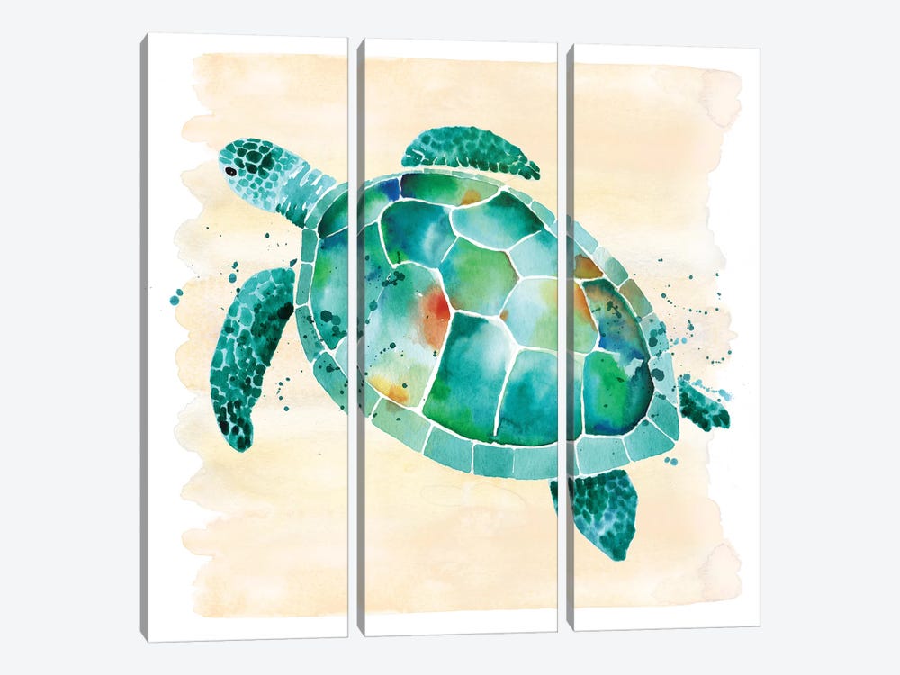 Sea Turtle by Sara Berrenson 3-piece Canvas Art Print