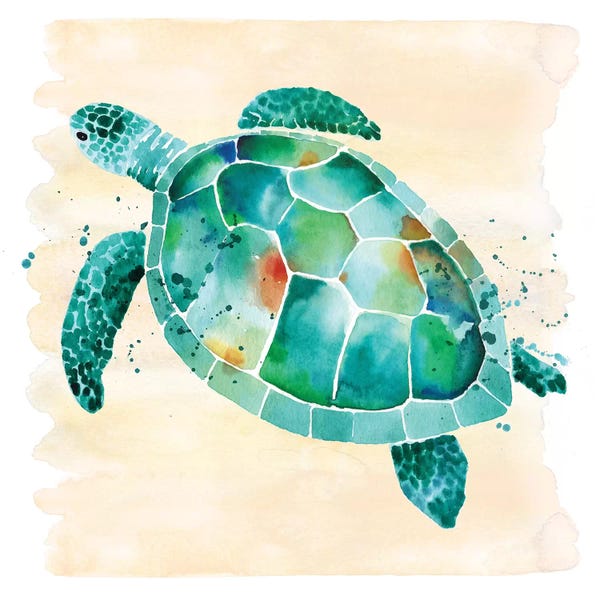 Turtles: Sea Turtle by Sara Berrenson