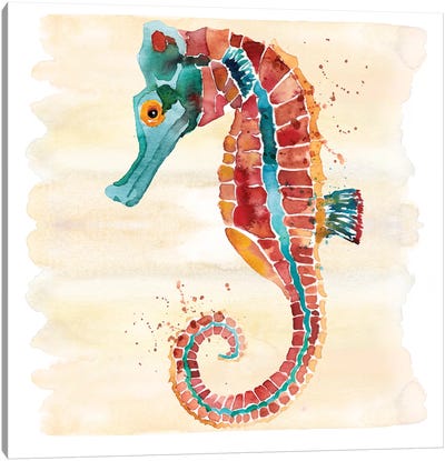 Seahorse Canvas Art Print - Sara Berrenson