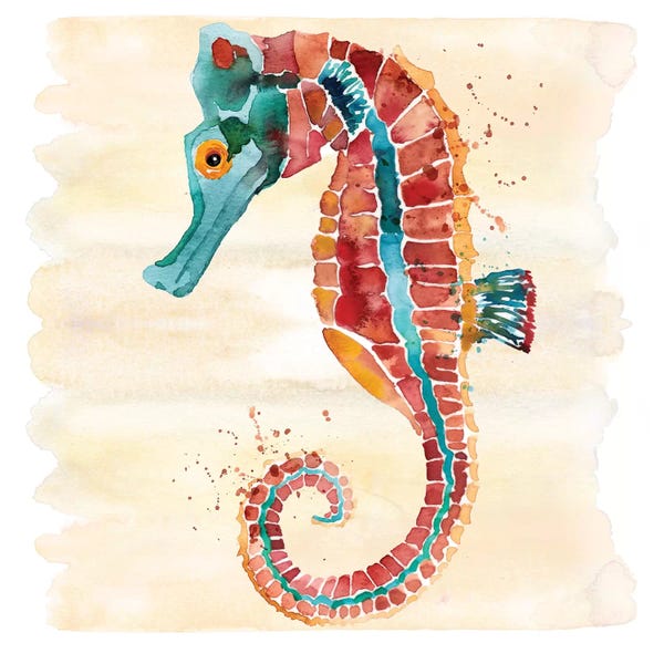 Seahorses: Seahorse by Sara Berrenson