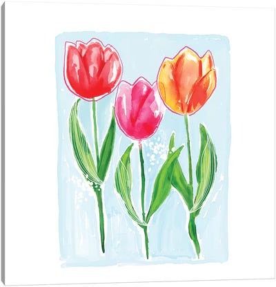 Tulips Canvas Art Print - Sara Berrenson