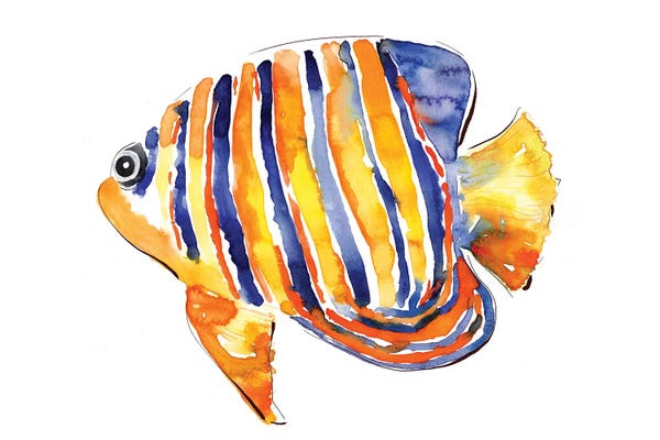 Angelfish: Angel Fish by Sara Berrenson