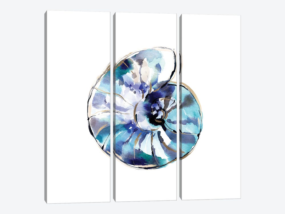 Blue Abstract Shell by Sara Berrenson 3-piece Canvas Artwork