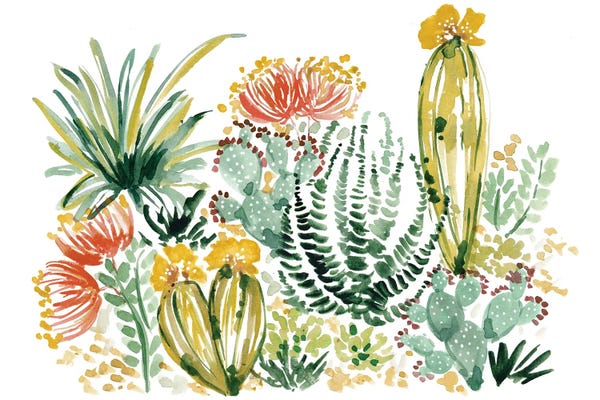Succulents: Desert I by Sara Berrenson