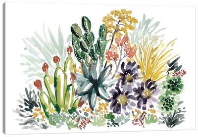 Desert II Canvas Art Print - Cactus Art